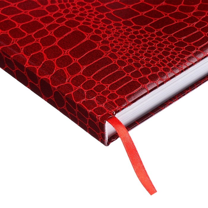 Ежедневник датированный 2025 года, deVENTE. Flag, Attomex. Arkona, твердая обложка бумвинил с поролоном, ляссе, блок 70 г/м2, красный Ежедневник датированный 2025 года, deVENTE. Flag, Attomex. Arkona, твердая обложка бумвинил с поролоном, ляссе, блок 70 г/м2, красный