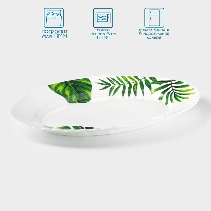 Блюдо сервировочное Avvir «Лист папоротника», овальное, 30×22 см, стеклокерамика, цвет белый Блюдо сервировочное Avvir «Лист папоротника», овальное, 30×22 см, стеклокерамика, цвет белый