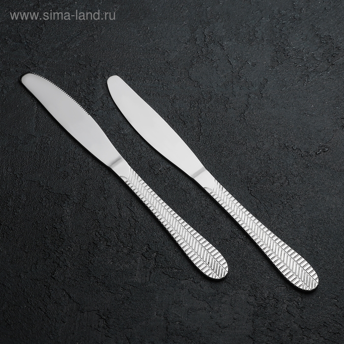 Ножи столовые Доляна «Фараон», длина 20 см, 6 шт, цвет серебряный