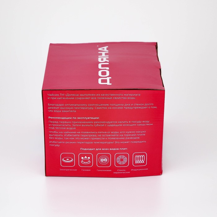 Чайник со свистком из нержавеющей стали Доляна «Чёрная ночь», 3 л, фиксированная ручка, цвет хромированный Чайник со свистком из нержавеющей стали Доляна «Чёрная ночь», 3 л, фиксированная ручка, цвет хромированный