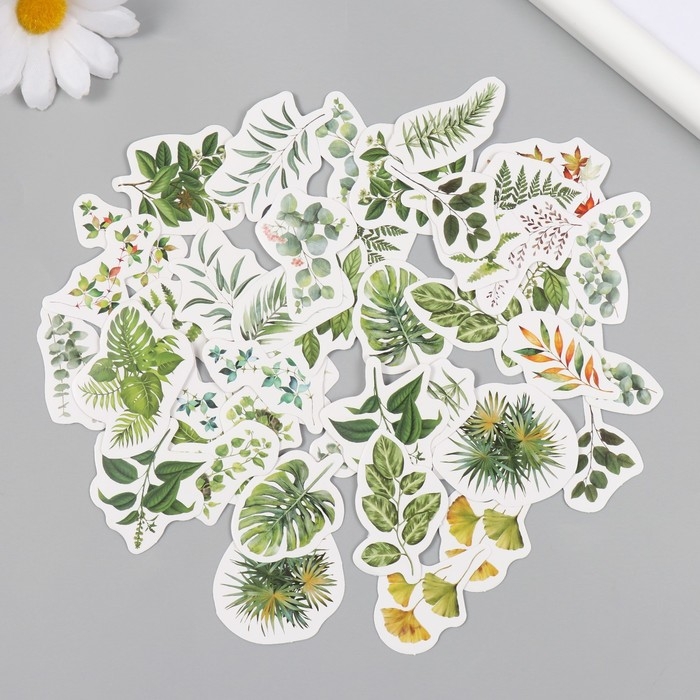 Наклейки для творчества Наклейки для творчества "Зелёные листья" набор 46 шт 6,4х4,4х1,1 см