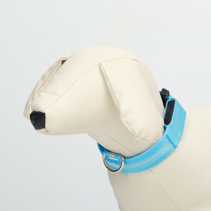 Ошейник с подсветкой, зарядка от USB, размер S, ОШ 34-41 см, 3 режима, голубой Ошейник с подсветкой, зарядка от USB, размер S, ОШ 34-41 см, 3 режима, голубой