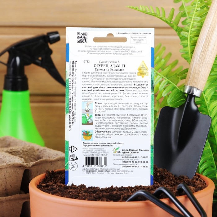 Семена огурца  Семена огурца "Адам", F1, 6 шт.