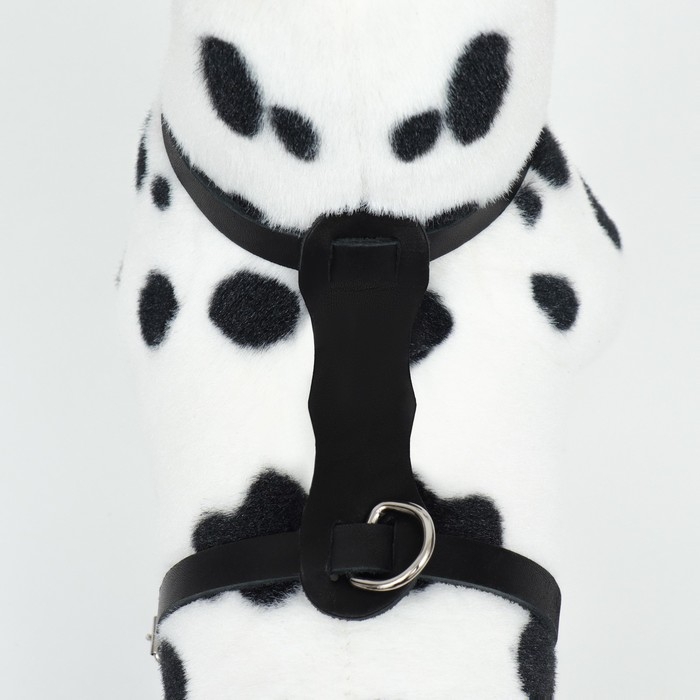 Шлейка кожаная однослойная Шлейка кожаная однослойная "Люкс", ОШ 26-34 см, ОГ 36-44 см, ширина 1,1 см, чёрная