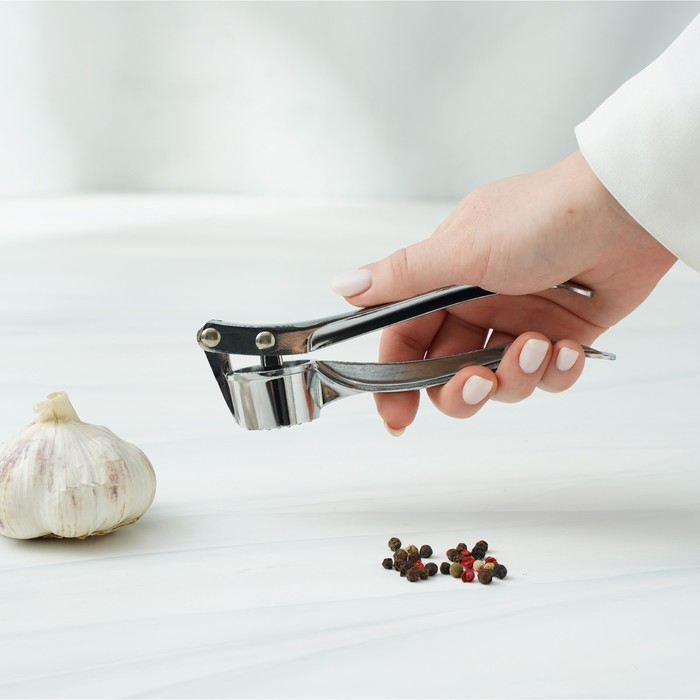 Пресс для чеснока Доляна «Эрнест», 15 см, цвет серебряный Пресс для чеснока Доляна «Эрнест», 15 см, цвет серебряный