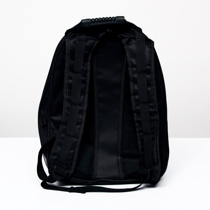 Рюкзак для переноски кошек и собак  Рюкзак для переноски кошек и собак "Хочу на море!", с окном, 32 х 25 х 42 см