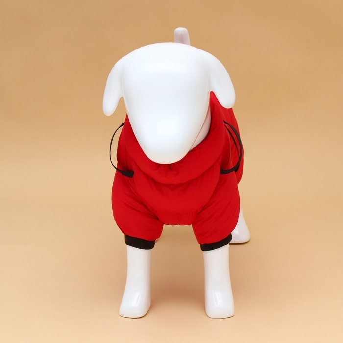 Комбинезон для собак со шлейкой Комбинезон для собак со шлейкой "Моден", размер 16 (ДС 36, ОГ 46, ОШ 35 см), красный