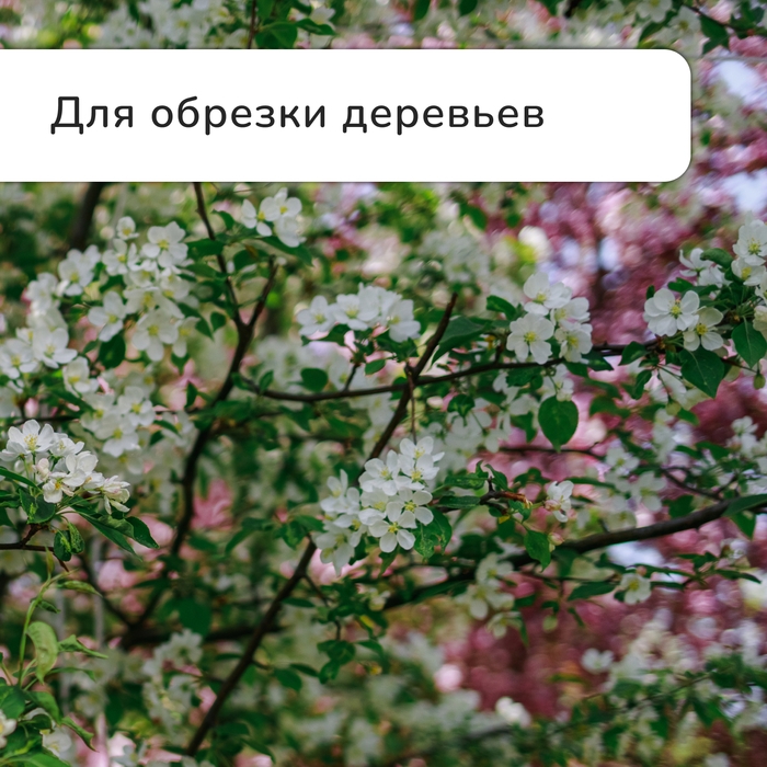 Сучкорез профессиональный, 26.4−37 Сучкорез профессиональный, 26.4−37" (67.5−94 см), телескопический, с пластиковыми ручками, МИКС, Greengo