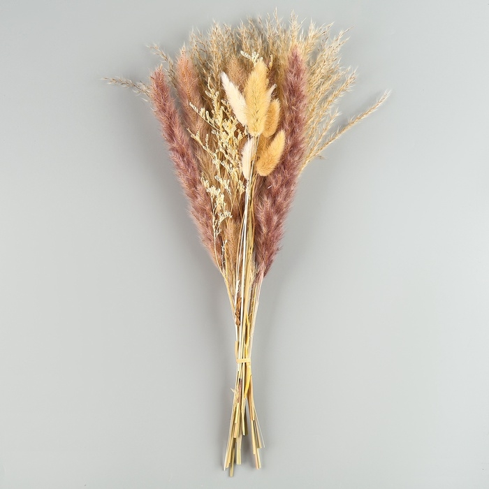 Сухоцветы «Лагурус», набор из 3 видов, 48 × 16 × 6 см