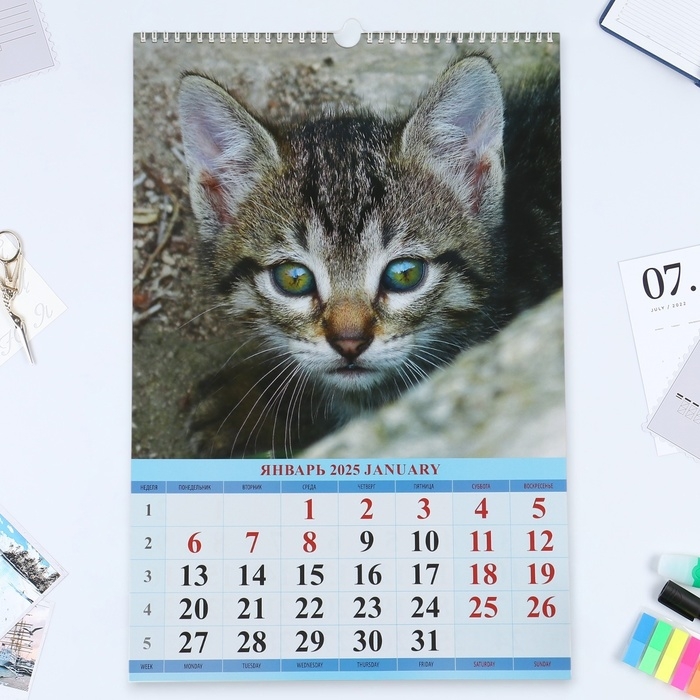 Календарь перекидной на ригеле А3 Календарь перекидной на ригеле А3 "Котята" 2025, 32 х 48 см
