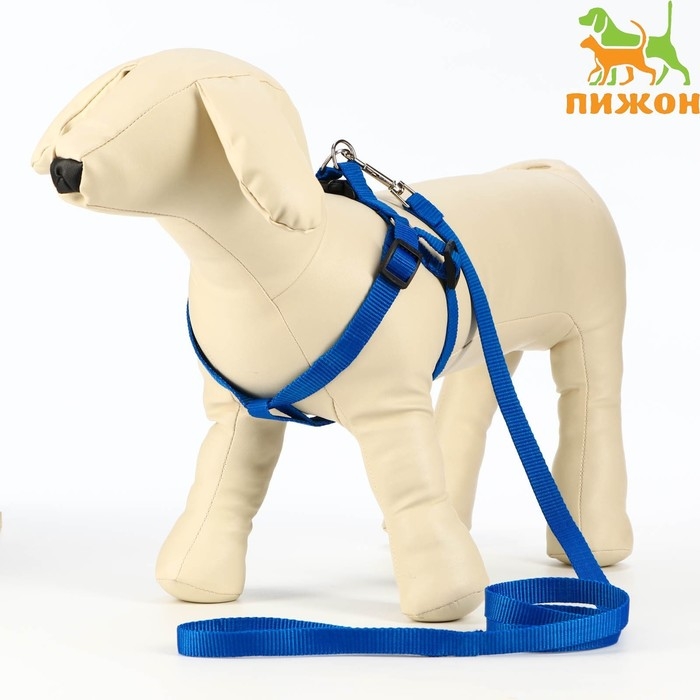 Комплект Комплект "Базис", поводок 120 х 1,5 см, шлейка 32-46 х 1,5 см, синий