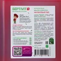Жидкое мыло SEPTIVIT "Малиновый пай", 5 л