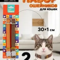 Набор ошейников для кошек &laquo;Пижон&raquo;, 30&times;1 см, оранжевый, коричневый