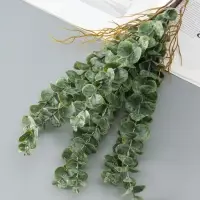 Цветы искусственные «Эвкалипт цинерия галант», h=51 см, зелёные Цветы искусственные «Эвкалипт цинерия галант», h=51 см, зелёные