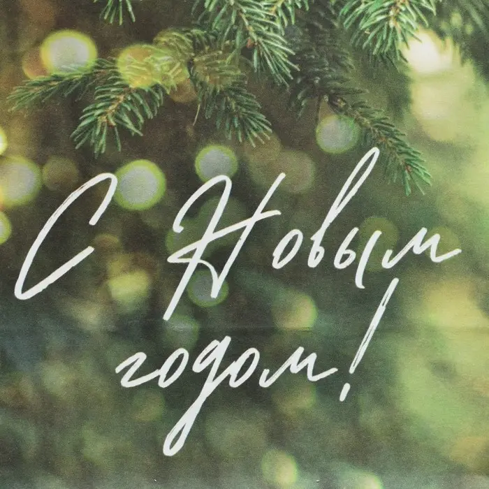 Пакет без ручек «С Новым годом», веточка ели, 10 х 19.5 х 7 см, Новый год Пакет без ручек «С Новым годом», веточка ели, 10 х 19.5 х 7 см, Новый год