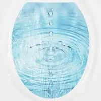 Сиденье для унитаза &laquo;Декор. Капли&raquo;, 44.5&times;37.5 см, с крышкой, белое