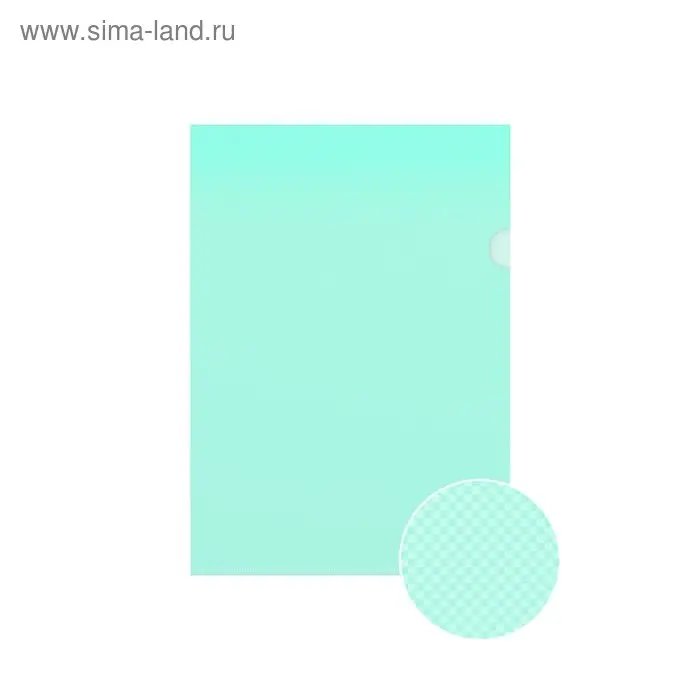 Папка-уголок А4, 160 мкм, ErichKrause Glossy Classic, прозрачная, микс Папка-уголок А4, 160 мкм, ErichKrause Glossy Classic, прозрачная, микс