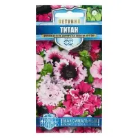 Набор семян Петуния "Титан", бахромчатая, смесь, серия Русский богатырь, 5 шт. Набор семян Петуния "Титан", бахромчатая, смесь, серия Русский богатырь, 5 шт.