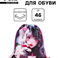 Мешок для обуви deVENTE на шнурке, с сеткой, принтом, размер 47&times;1&times;40 см, разноцветный