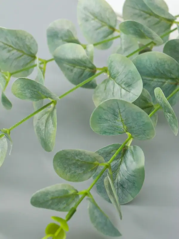 Цветы искусственные «Эвкалипт шёлковый», h=80 см, зелёные Цветы искусственные «Эвкалипт шёлковый», h=80 см, зелёные