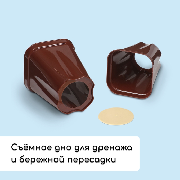 Набор для рассады: стаканы по 250 мл (6 шт.), контейнер 24 × 16 см, МИКС Набор для рассады: стаканы по 250 мл (6 шт.), контейнер 24 × 16 см, МИКС