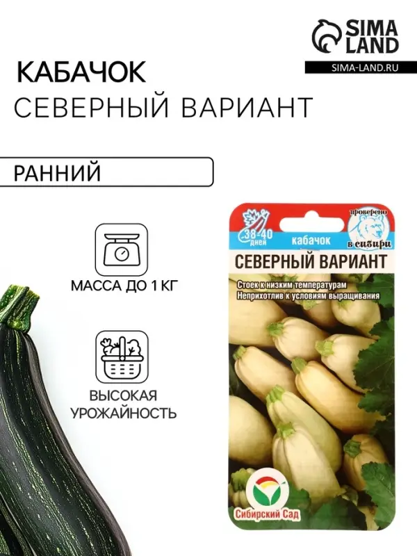 Семена Кабачок &laquo;Северный вариант&raquo;, 5 шт., &laquo;Сибирский сад&raquo;