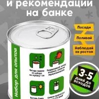 Набор для опытов ЭВРИКИ &laquo;Мой мини-сад&raquo;, огурец