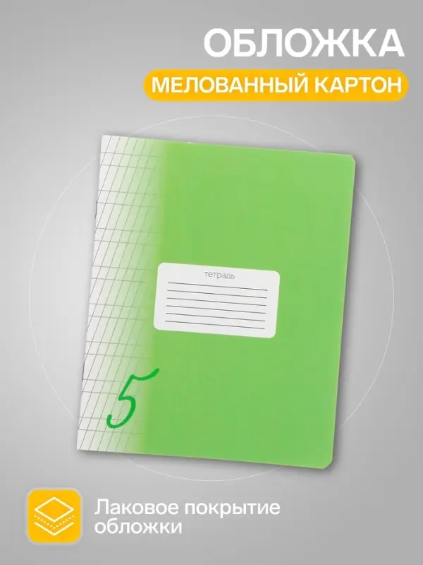 Комплект тетрадей из 10 штук, 12 листов в частую косую линию Calligrata "Пятёрка. Зелёная", обложка мелованный картон, блок офсет