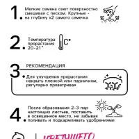 Семена цветов Пеларгония &laquo;Дансер Ред&raquo;, зональная, 3 шт., &laquo;Семена Алтая&raquo;