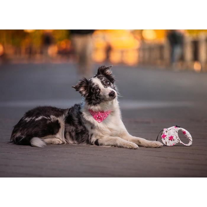 Рулетка  Рулетка "Лапа", 5 м, до 35 кг, принт цветы