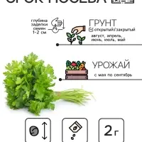 Семена Петрушка кудрявая &laquo;Мооскраузе&raquo;, 2 г, &laquo;Рецепты дедушки Никиты&raquo;