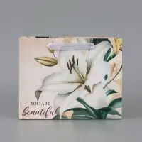 Пакет подарочный горизонтальный Beautiful, 23&times;18&times;10 см