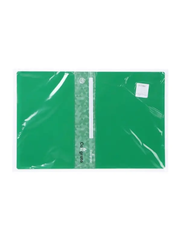 Папка с 60 вкладышами А4, 500 мкм, Calligrata, карман на корешке, зелёная