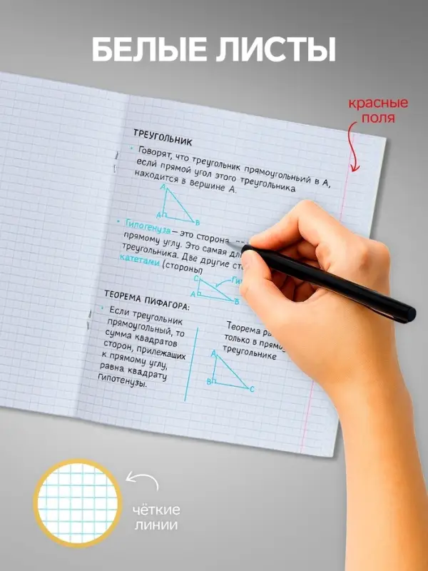 Комплект тетрадей из 10 штук, 24 листа в клетку Calligrata "Тачки", обложка мелованный картон, ВД-лак, блок офсет, 5 видов по 2 штуки