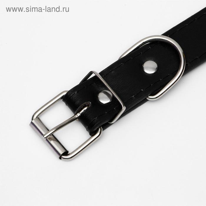 Ошейник Ошейник "Косточки" морозостойкий украшенный, 52 х 2,5 см, ОШ 37-47 см, чёрный