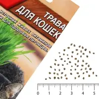 Семена &laquo;Трава для кошек&raquo;, 20 г, &laquo;Агрофирма АЭЛИТА&raquo;