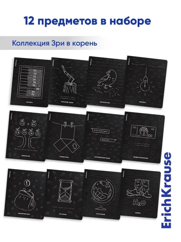 Набор предметных тетрадей ErichKrause &laquo;Зри в корень&raquo;, 12 предметов, 48 листов, со справочным материалом, пластиковая обложка