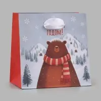Пакет подарочный &laquo;С Новым годом&raquo;, мишка, 14&times;14&times;9 см