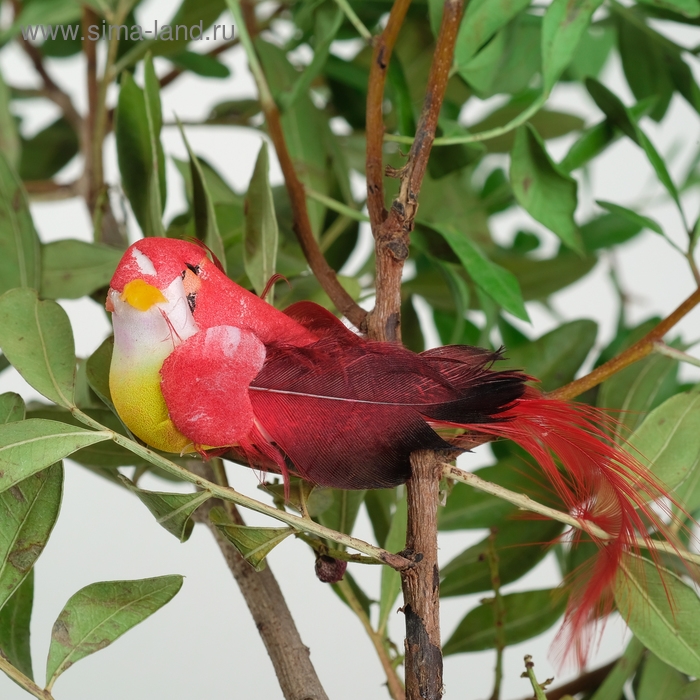 Птичка для декора и флористики, на прищепке, МИКС, пластиковая, 1шт., 8 х 8 см Птичка для декора и флористики, на прищепке, МИКС, пластиковая, 1шт., 8 х 8 см