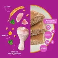 Влажный корм Whiskas для кошек, курица /индейка, паштет, 75 г