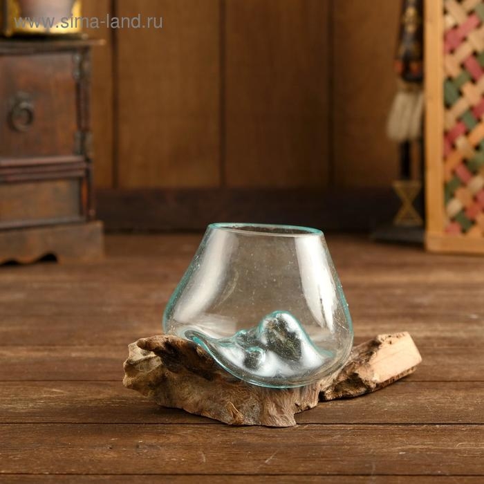 Вазон на коряге  Вазон на коряге "Очарование" 12х10х10 см