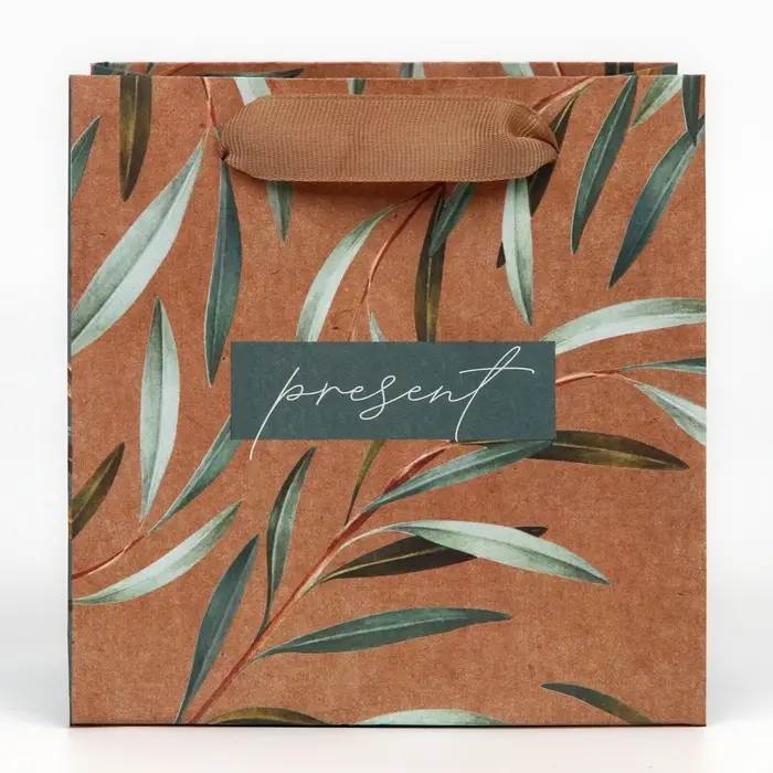 Пакет подарочный крафтовый квадратный, упаковка, «Present», 14 х 14 х 9 см Пакет подарочный крафтовый квадратный, упаковка, «Present», 14 х 14 х 9 см