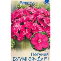 Семена цветов Петуния БУУМ! Эйч Ди F1 Пинк многоцветковая (драже) Benary, Ц/П,7 шт. Семена цветов Петуния БУУМ! Эйч Ди F1 Пинк многоцветковая (драже) Benary, Ц/П,7 шт.