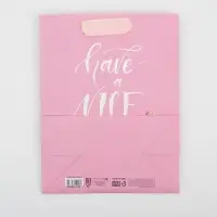 Пакет подарочный ламинированный, упаковка, &laquo;Have a nice day&raquo;, MS 18&times;23&times;10 см