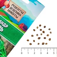 Семена Кориандр "Янтарь", 5 г Семена Кориандр "Янтарь", 5 г