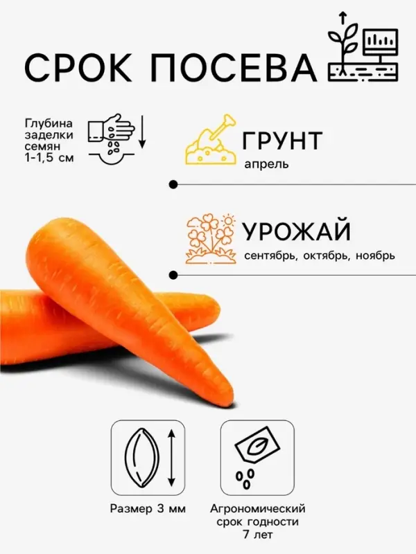 Семена на ленте Морковь &laquo;Атлет&raquo;, F1, 8 м, &laquo;Аэлита&raquo;