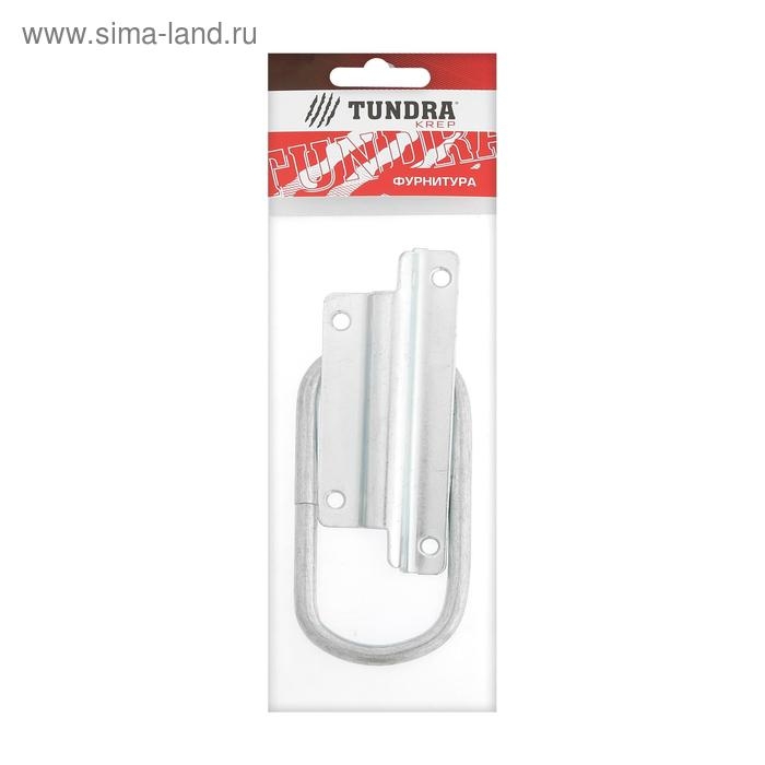 Ручка откидная ТУНДРА, покрытие цинк, 1 шт.