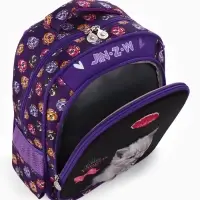 Рюкзак школьный для девочки, с эргономичной спинкой, с пеналом, 30&times;12&times;36 см, разноцветный