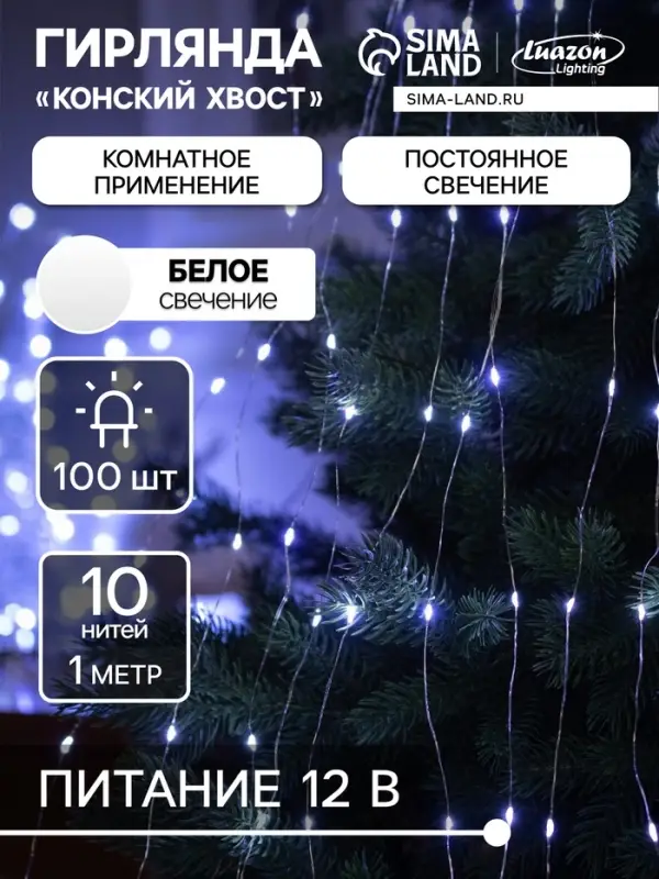 Гирлянда &laquo;Конский хвост&raquo; 10 нитей по 1 м, IP20, серебристая нить, 100 LED, свечение белое, 12 В