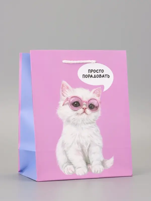 Пакет подарочный ламинированный «Порадовать» 18×22.3×10 см Пакет подарочный ламинированный «Порадовать» 18×22.3×10 см